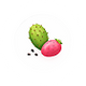 Prickly Pear Seed Oil